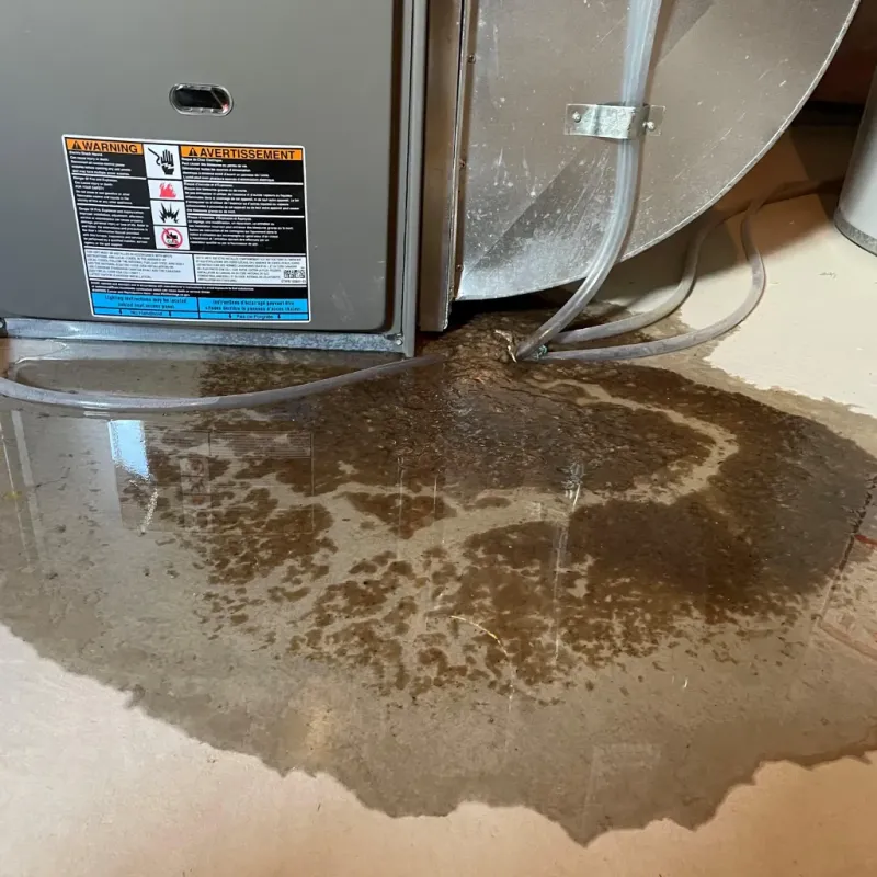 Appliance Leak Cleanup in Tea, SD